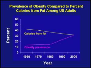 Why do we get fat? 
